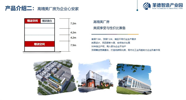 莱德 (3)_副本.jpg