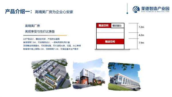 莱德 (2)_副本.jpg